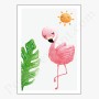 Affiche : Flamand rose