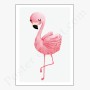 Affiche : Flamand rose