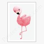 Affiche : Flamand rose