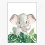 Affiche : Petite tête d'éléphant