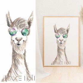 Affiche : Lama à lunette Affiche : Lama à lunette