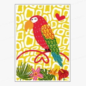Affiche : Perroquet Affiche : Perroquet